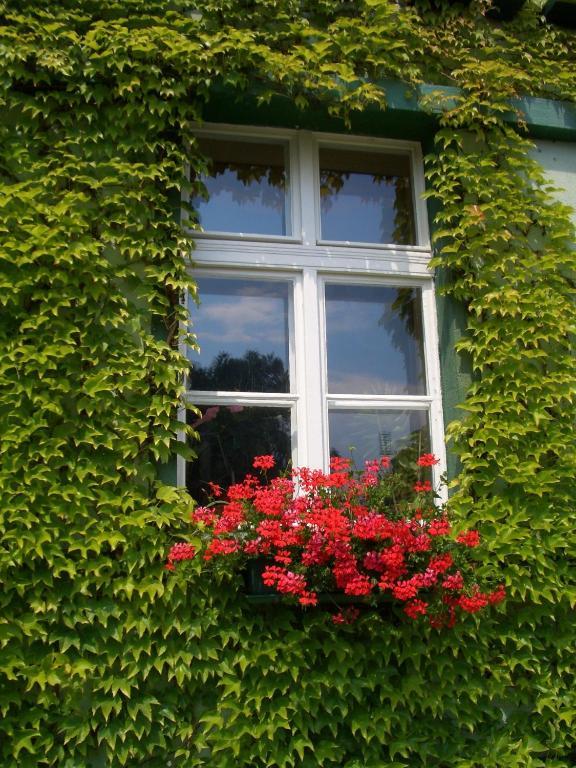 3 Sterne Hotel Frankfurt-Oder Zur Alten Oder Frankfurt  Extérieur photo